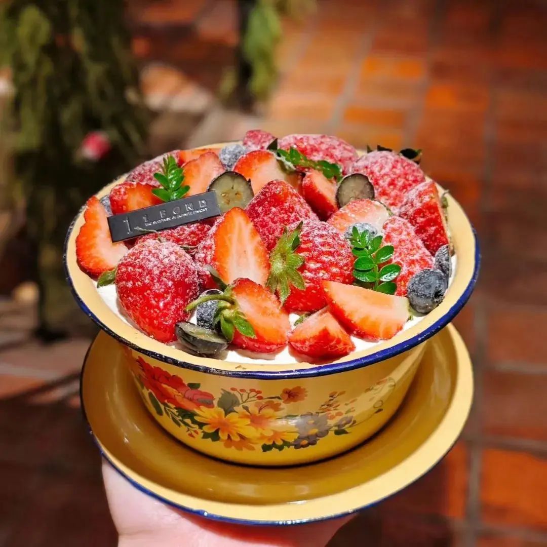 草莓蛋糕盆洗菜盆拌饺子馅盆猪油盆明火加热盆带盖网红加厚搪瓷盆