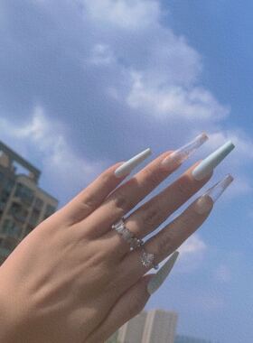 BOBBI NAILS手工定制欧美甲片成品极光小雏菊