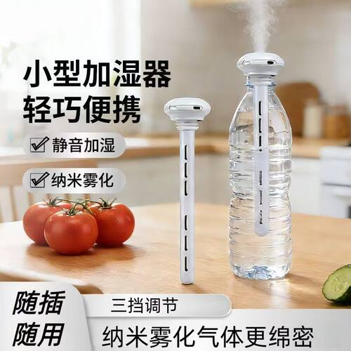矿泉水瓶车载便携加湿器净化空气