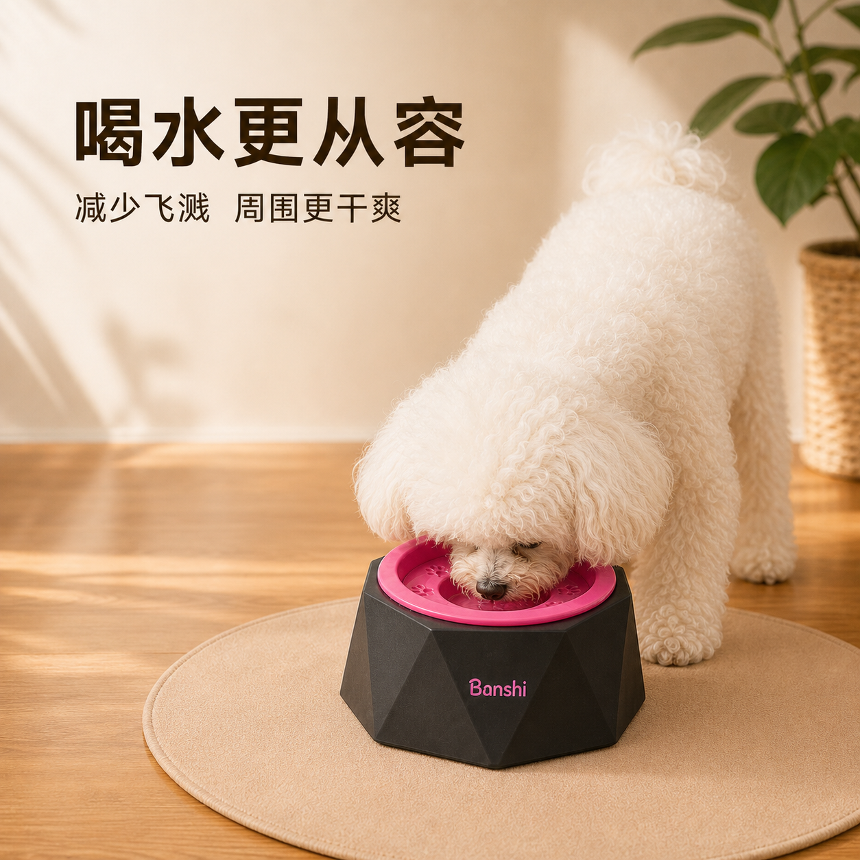 多巴胺悬浮水碗防湿下巴防翻