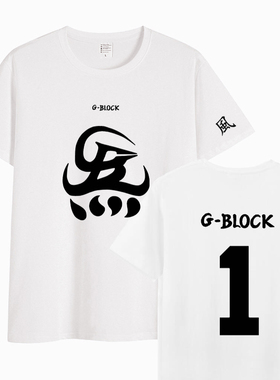 GBLOCK炁衣服仁义茶楼联名CYPHER功夫胖刘聪gai演唱会周边短袖T恤