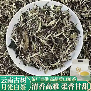 2025头春云南古树月光白茶老白茶普洱冰白冷泡月光美人白牡丹散茶