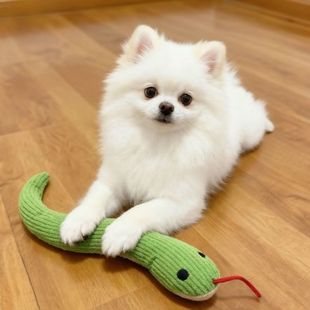 狗狗捕蛇玩具毛绒甩头小蛇玩偶磨牙耐咬小型犬搞怪逗狗棒自嗨解闷