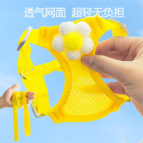 夏季网面小型犬牵引绳