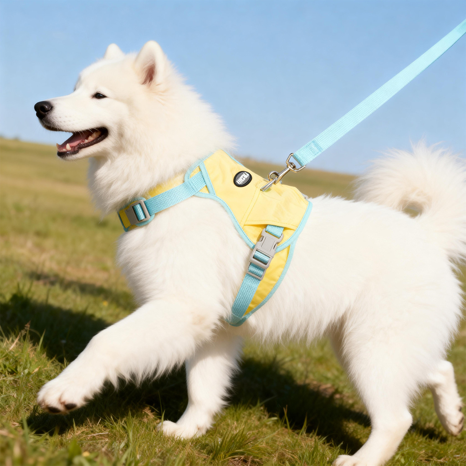 轻量狗狗胸背带牵引绳亲肤面料透气不闷热中小型犬遛狗绳子背心式,宠物/宠物食品及用品,狗牵引绳,淘宝优惠券,粉丝福利购,淘宝优惠卷