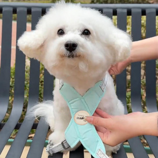 X型护胸超轻胸背带狗狗牵引绳夏季 轻盈透气不勒脖小型犬遛狗绳子