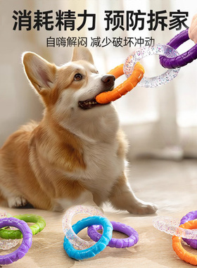 咬不坏的拉环狗狗玩具拔河拉扯耐咬磨牙洁齿宠物柯基边牧训练互动