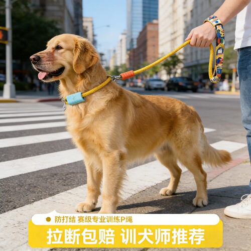 训练P绳P链中大型犬牵引绳防爆冲