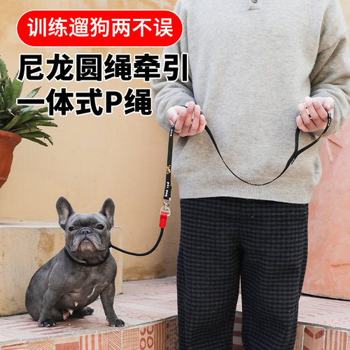 赛级专业训犬P绳P链防爆冲防打结