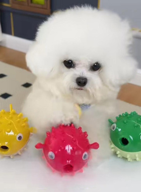 蹦蹦鱼狗狗玩具发声耐咬漏食球柯基比熊磨牙洁齿玩具零食自嗨解闷