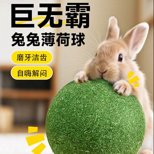 兔子解闷玩具磨牙耐啃咬解闷