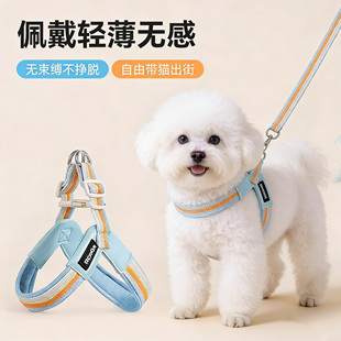 轻薄无感狗狗牵引绳小型犬胸背带防挣脱可调节伸缩遛狗绳宠物用品
