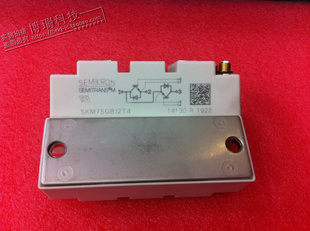 新品全新原装 进口 SKM75GB12T4可替代