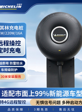 米其林充电桩新能源汽车特斯拉model3y理想充电枪通家用快充桩7kw