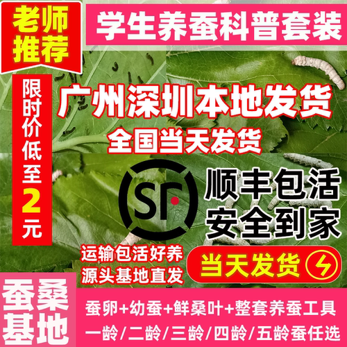 当天发货优质蚕宝宝蚕桑基地直发