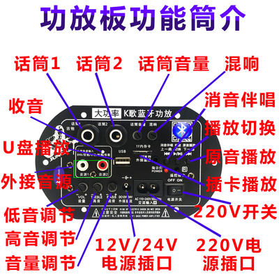 新款一键消原唱 双话筒k歌大功率蓝牙功放板12V24V220V低音炮功放