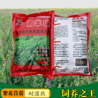 紫花苜蓿种子多年生鱼草种籽兔鸡鸭鹅菜牛羊猪草种孑四季牧草草籽