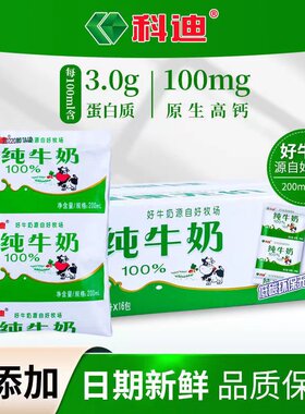 科迪纯牛奶200毫升*16包