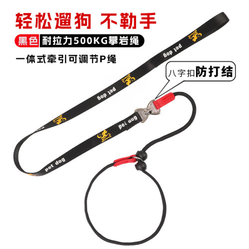 P绳P链狗狗牵引绳赛级专业训犬