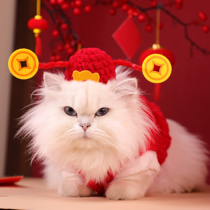 财神帽猫咪新年战袍过年喜庆红装宠物狗狗过年服饰招财猫帽子头套,宠物/宠物食品及用品,帽子,淘宝优惠券,粉丝福利购,淘宝优惠卷