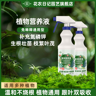 免稀释植物营养液花肥水培盆栽室内通用型绿萝花卉绿植富贵竹叶面