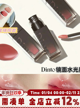 文佳瑛同款 DINTO水光镜面唇釉滋润保湿205/206/207/211小众平价