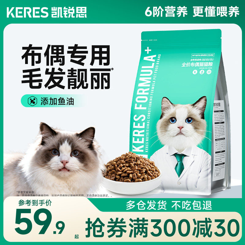 凯锐思布偶专用幼猫毛发靓丽图片