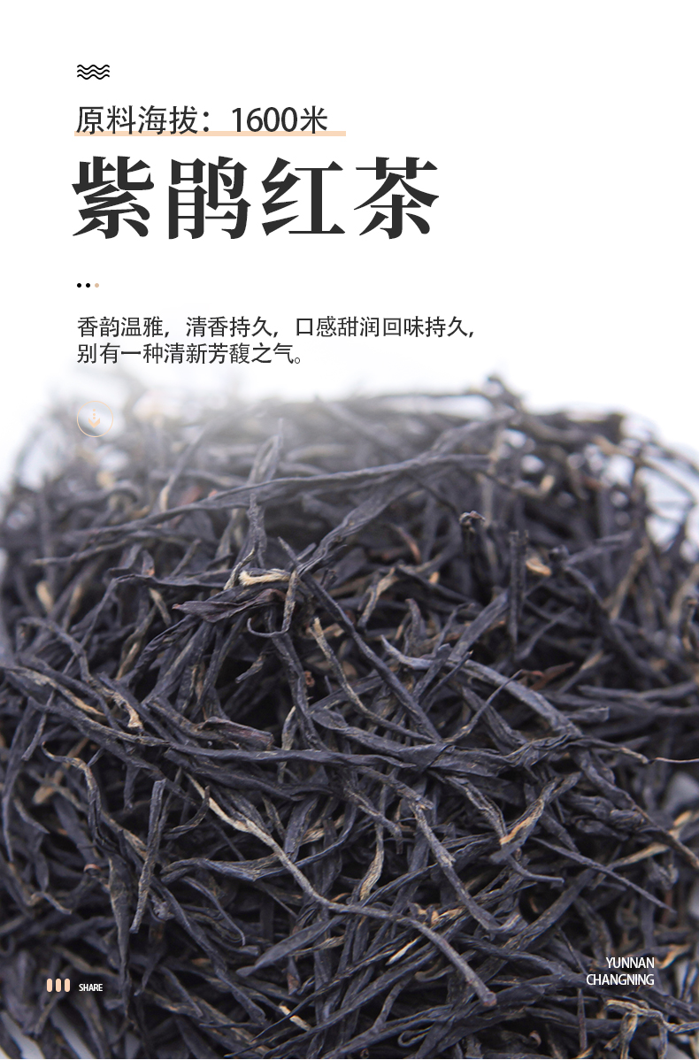 遐尔紫鹃滇红红茶云南保山昌宁大叶种红茶