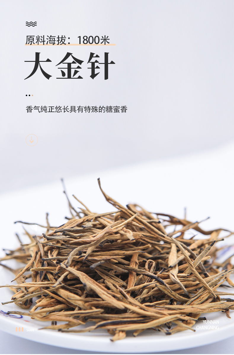 遐尔金针滇红云南保山昌宁大叶种