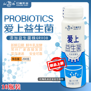 10瓶 瓶 箱 200g 顺丰速递：红梅乳业爱上益生菌酸奶