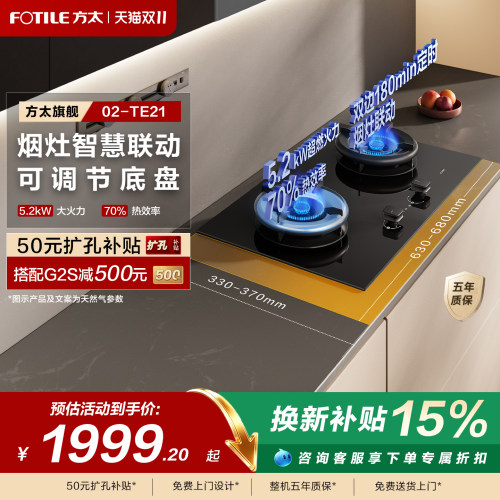 空气舱定时灶天然气厨房家用双灶
