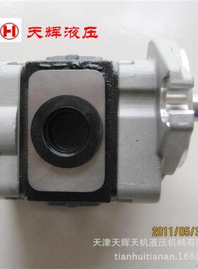 德州德隆专用高压齿轮泵SGP1B36AS1H12-L034C天津泵