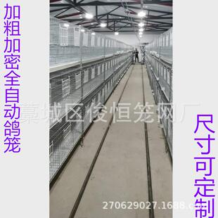 鸽子笼工厂生产养殖场专用鸽子笼子养殖笼量大优惠