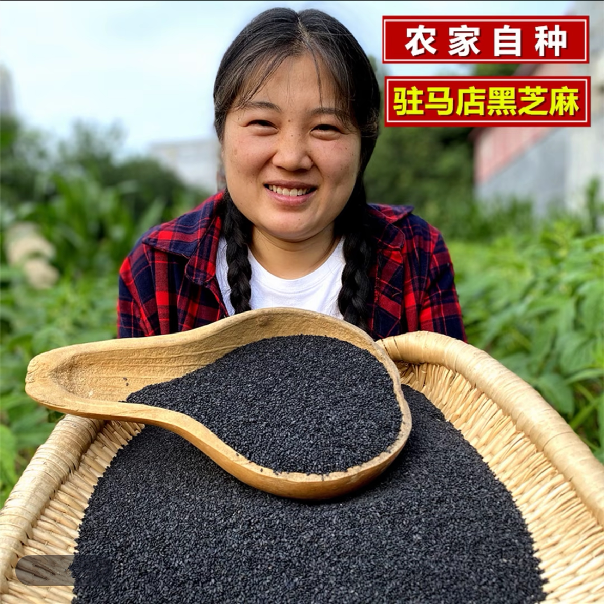 黑芝麻干净无杂无染色颗粒饱满图片