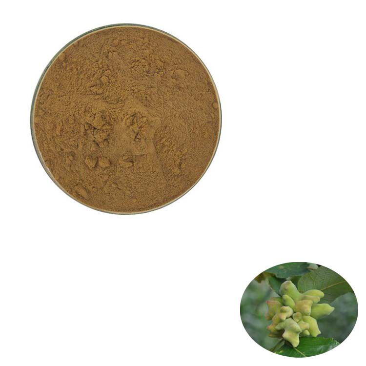 1000g 纯天然 20:1 五倍子提取物 高含量浓缩粉末 包邮现货