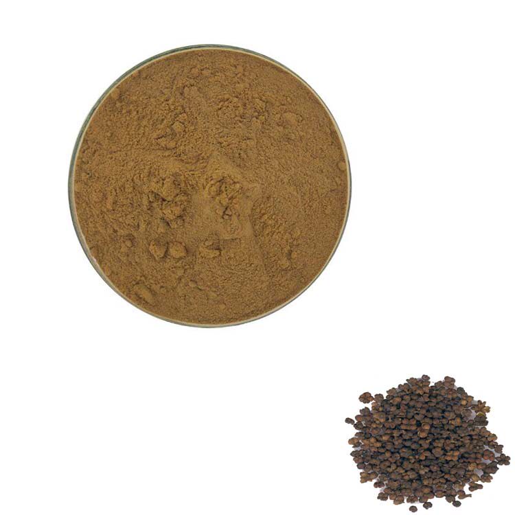 1000g 纯天然 20:1 吴茱萸提取物 吴萸 漆辣子浓缩粉末 包邮现货