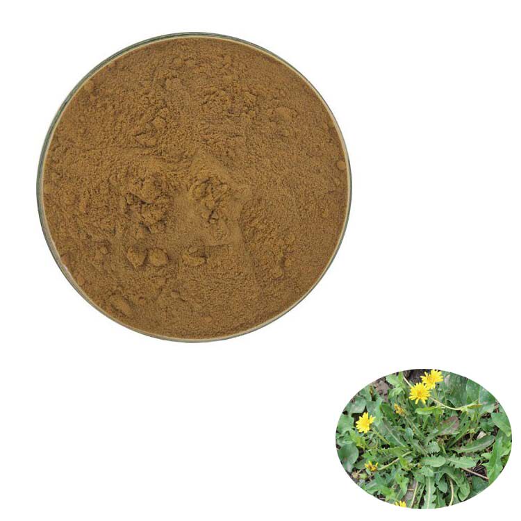 1000g 纯天然 20:1 蒲公英提取物 高含量浓缩粉末 包邮现货
