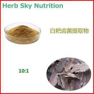 白耙齿菌提取物多糖 耙齿菌提取物 10:1 现货包邮