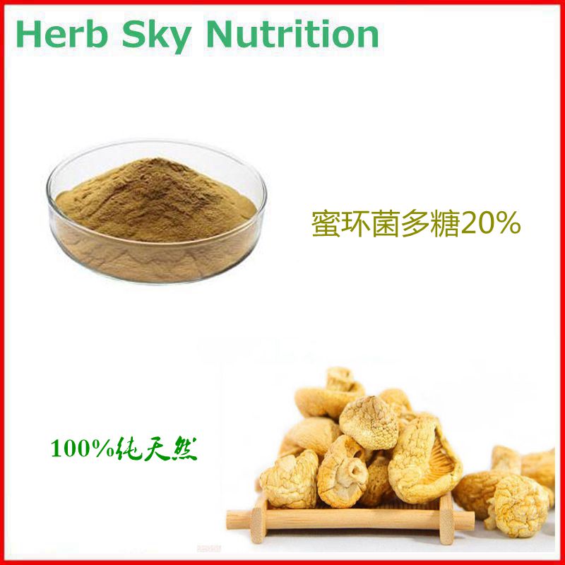 纯天然 蜜环菌多糖20% 蜜环菌提取物 纯植物原料浓缩粉 包邮
