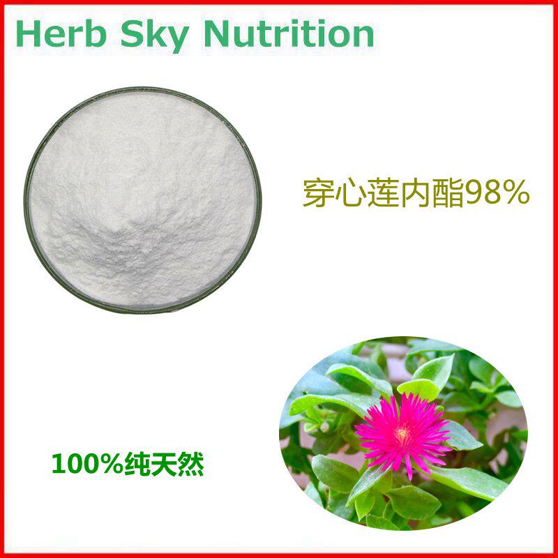 工厂直销 穿心莲内酯98% 高含量穿心莲提取物 包邮现货