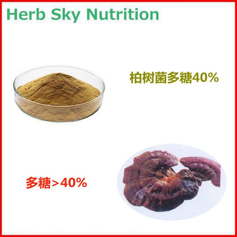 柏树菌多糖40% 高含量柏树菌提取物 水溶粉植物多糖粉 现货包邮