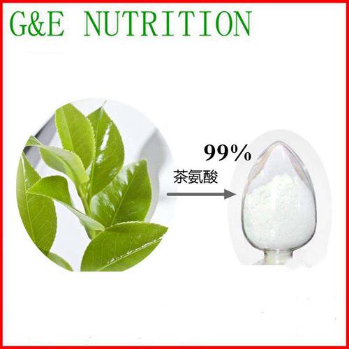100g 纯天然 高含量 茶氨酸99% 包邮现货 量大优惠