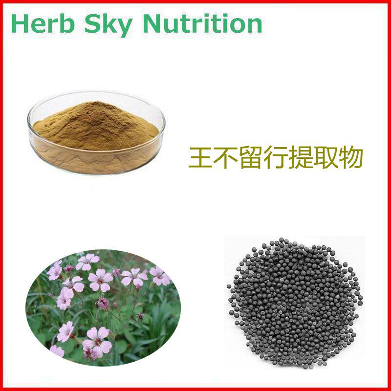 1000g 工厂直销 王不留行提取物 植物浓缩粉 10:1 包邮
