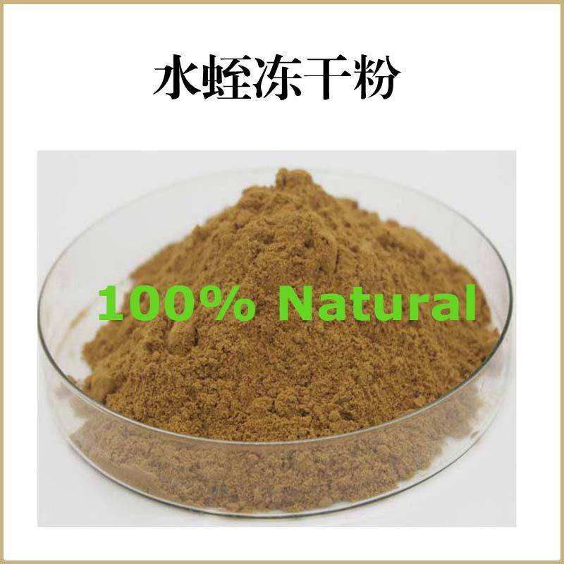 水蛭冻干粉 水蛭提取物 菲牛蛭冻干粉 日本医蛭 蚂蟥素 包邮