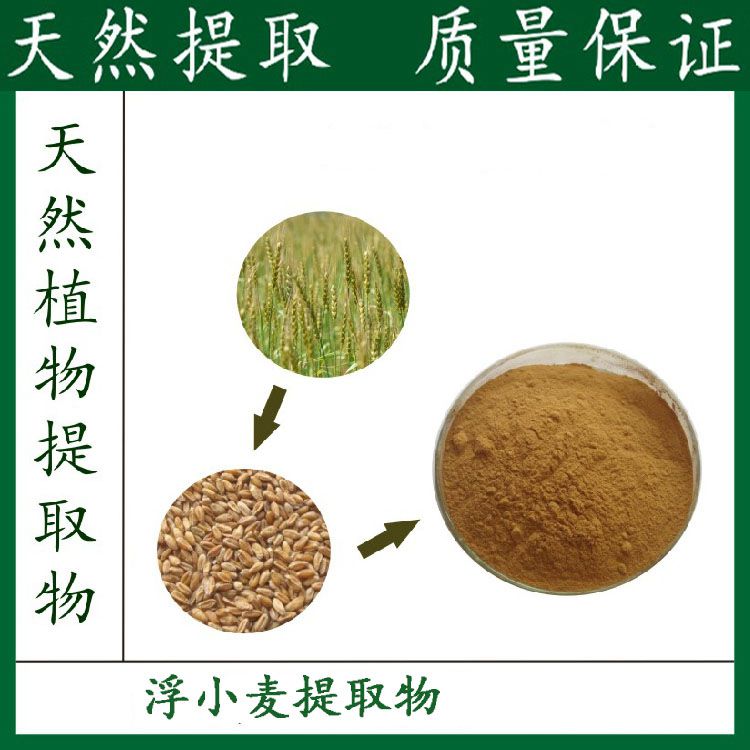 天然浮小麦提取物 浓缩粉末(500克/袋) 工厂直销 优惠包邮