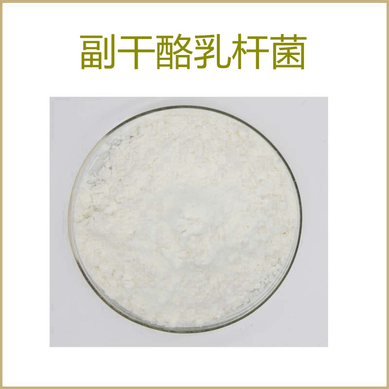 纯天然 副干酪乳杆菌100亿cfu/g 益生菌冻干粉 水溶性 包邮现货