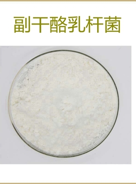 纯天然 副干酪乳杆菌100亿cfu/g 益生菌冻干粉 水溶性 包邮现货