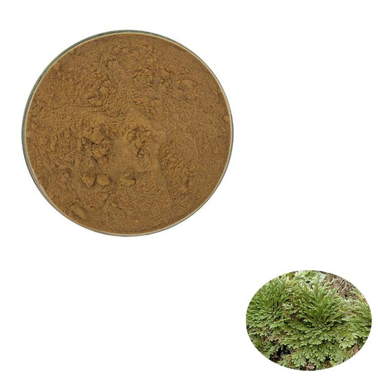1000g 纯天然 20:1 卷柏提取物 高含量浓缩粉末 包邮现货
