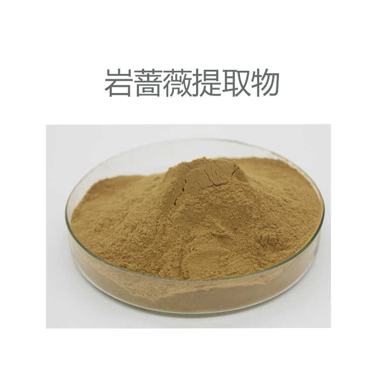 纯天然 岩蔷薇提取物 岩蔷薇浓缩粉 50:1 包邮现货