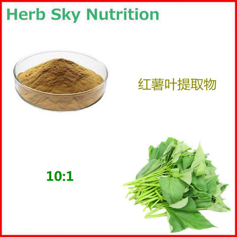 500g 纯天然红薯叶提取物 番薯叶浓缩粉 10:1 包邮现货